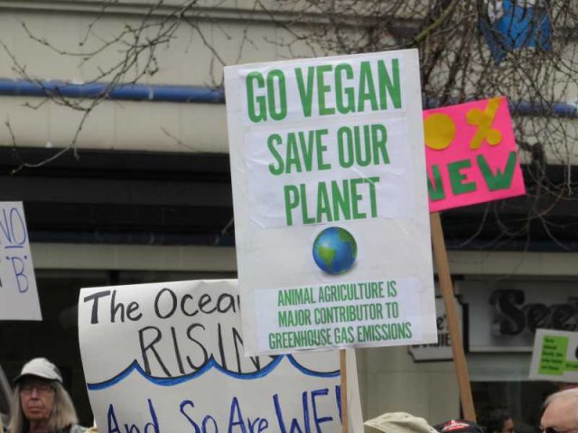 Seattle Climate March 2017