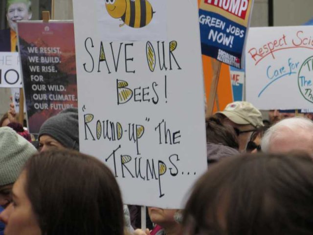 Seattle Climate March 2017