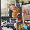 Seattle Climate March 2017